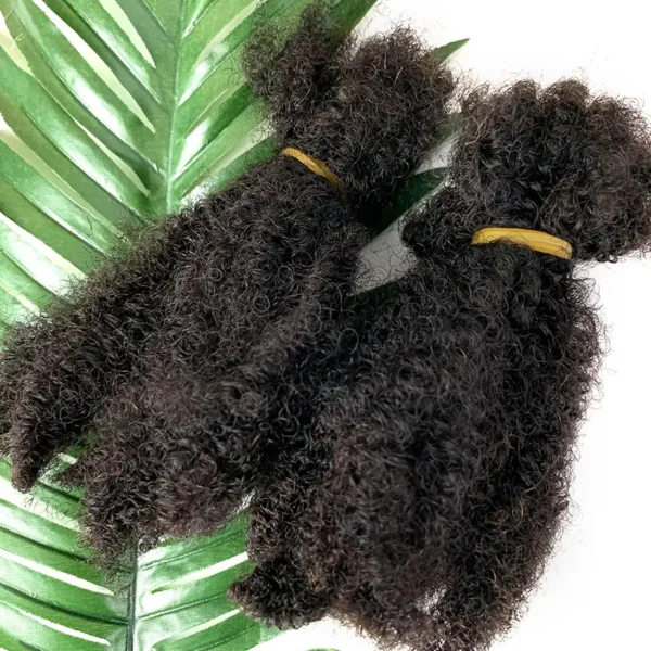 Rallonge-Afro Hair Extensions Microlocs Human Braiding Hair - Image 2