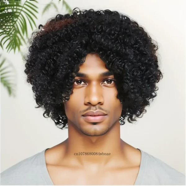 Afro Wig for Men Synthetic