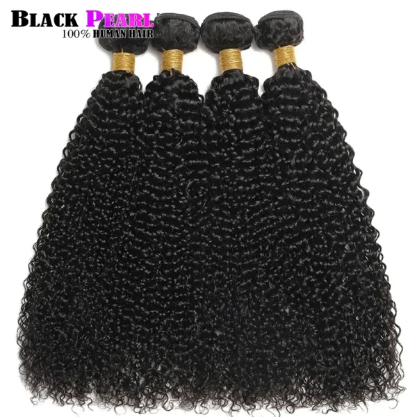 Mongolian Afro Kinky Curly Bundles