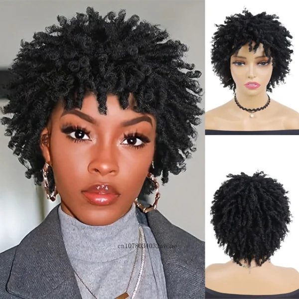 Short Afro Wig