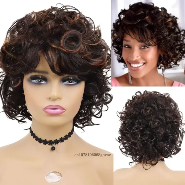 Afro Curly Wigs Women's Synthetic Hair Mix Brown Wig with Bangs Natural Looking Daily Cosplay Halloween Party High Temperature